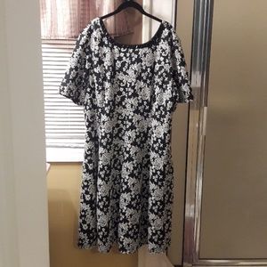 Flattering Princess Seams with Short Sleeve Dress